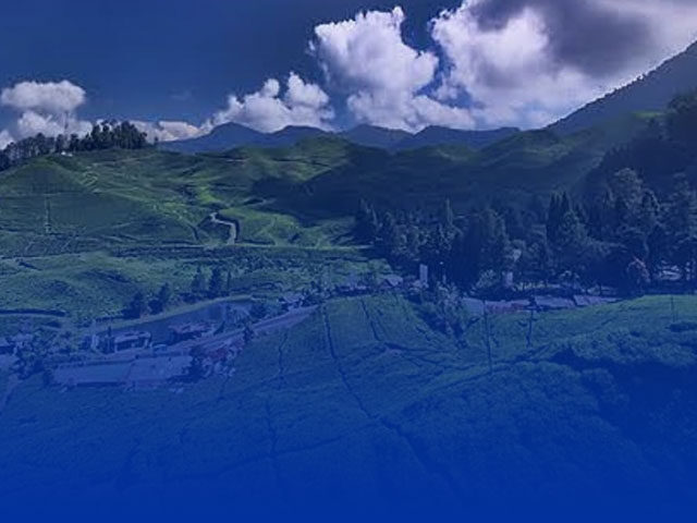 Penginapan